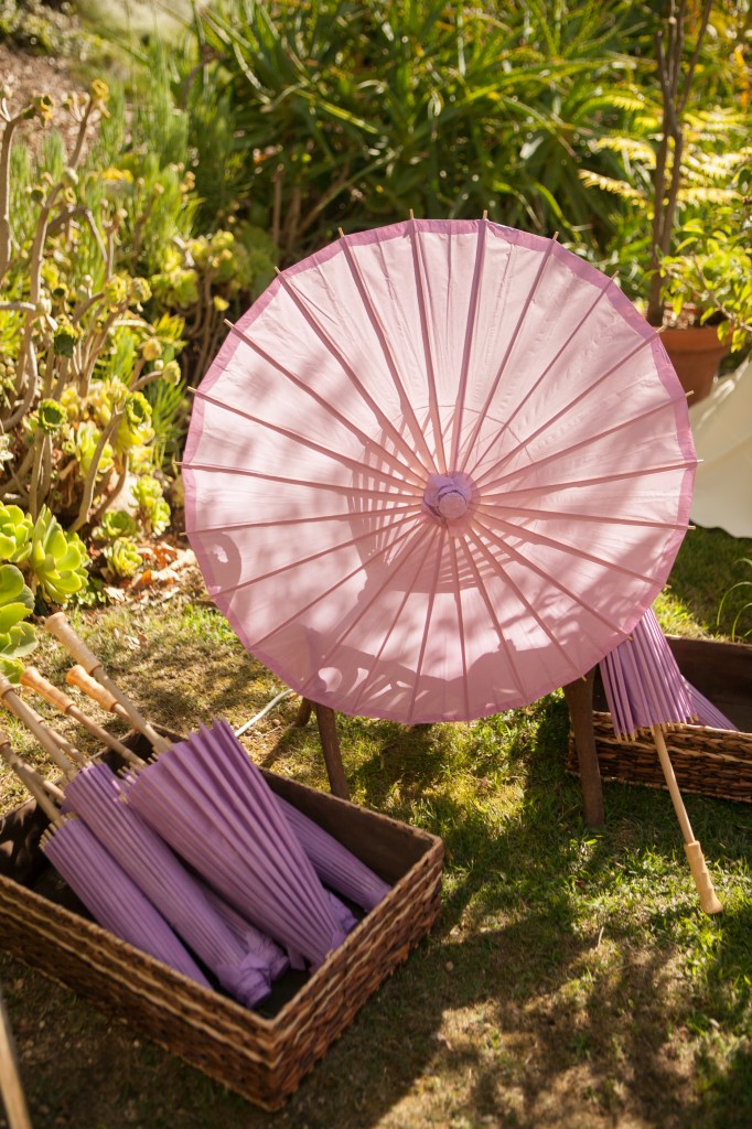 bitterolf wilcoxen parasols