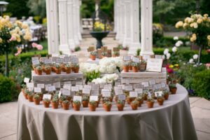 Ashley Tim Succulent Escort cards