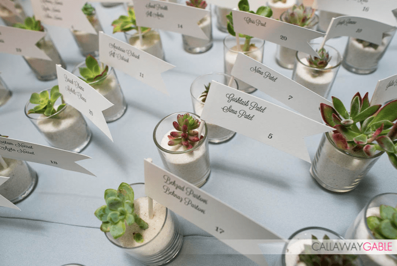 Modern succulent wedding favors and escort cards in sand